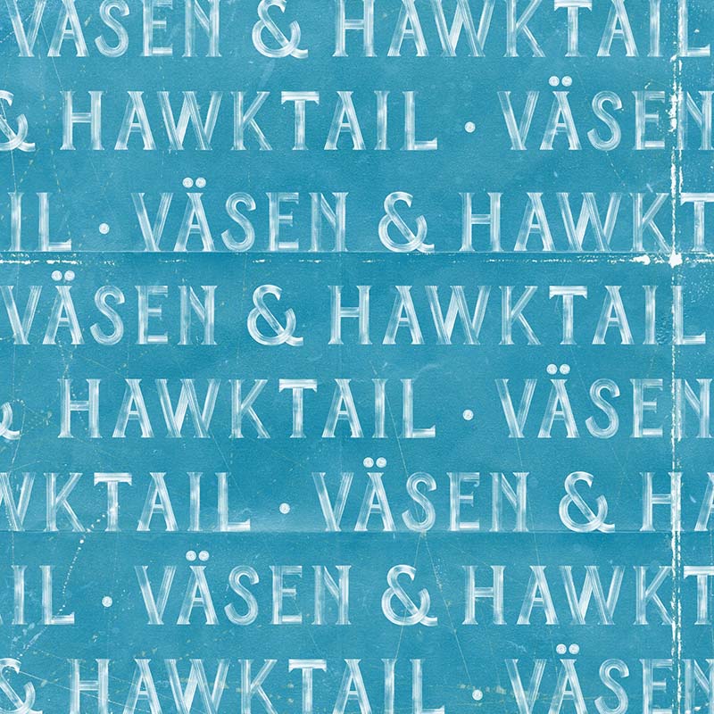 Väsen and Hawktail Album Cover mellan